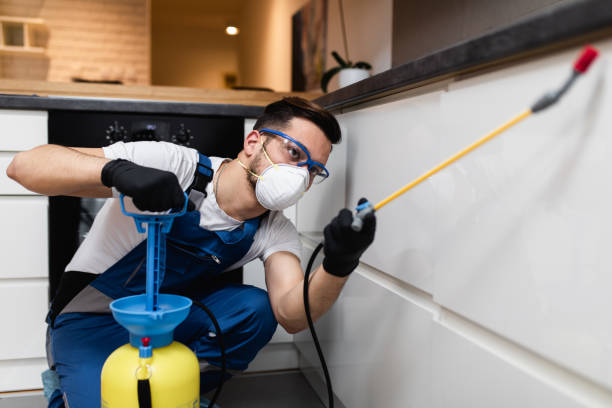 Best Flea Control Services  in Baltimore, OH