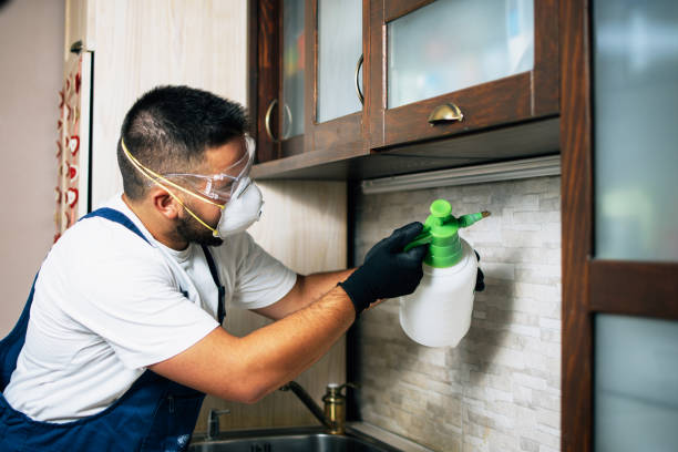 Best Local Pest Control Services  in Baltimore, OH