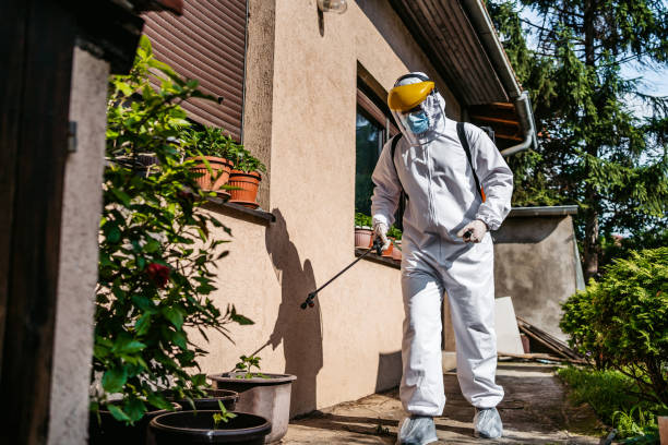 Reliable Baltimore, OH Pest Control Solutions