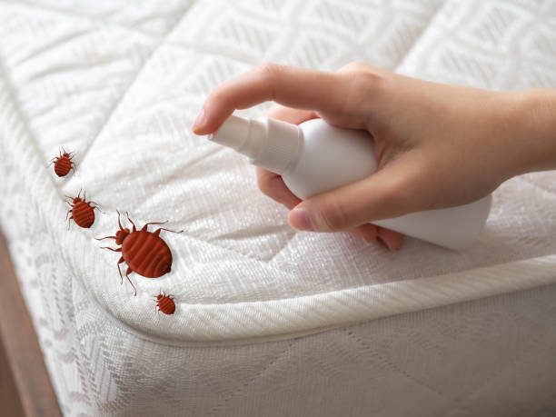 Best Affordable Pest Control Services  in Baltimore, OH