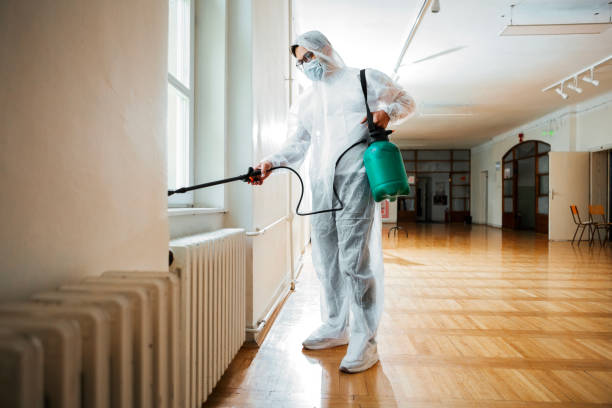 Best Rat Extermination Near Me  in Baltimore, OH