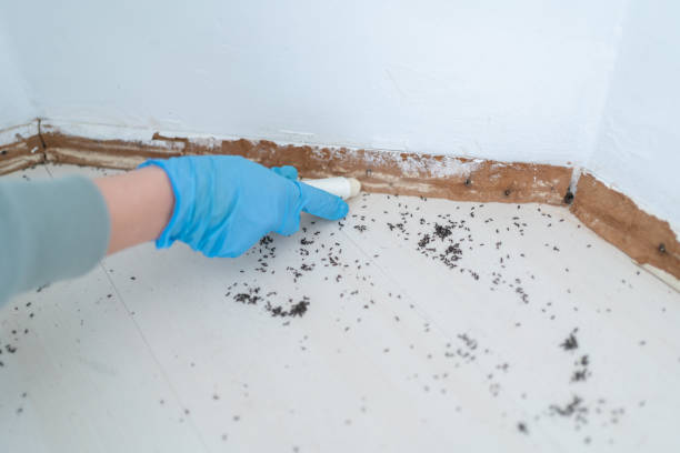 Best Pest Prevention Services  in Baltimore, OH
